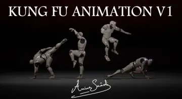 Combat animations - Kung fu V1