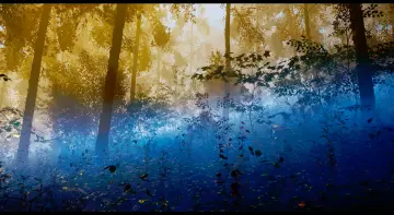 Ground Fog