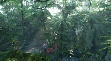 Tropical Jungle Pack