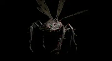 Dangerous Fly