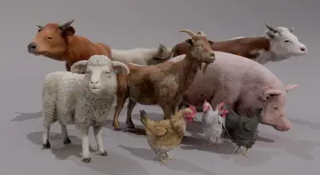 FARM ANIMALS PACK