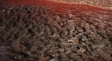 Muddy Materials