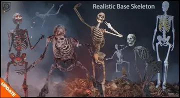 Realistic Base Skeleton