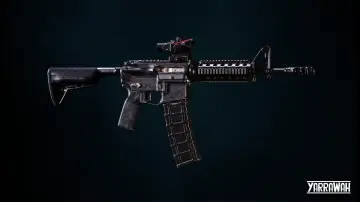 Custom AR-15 Style Rifle