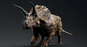 Dinosaur Triceratops