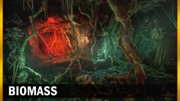 Biomass Cover