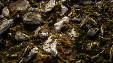 Unreal Shader : Megascans Assets