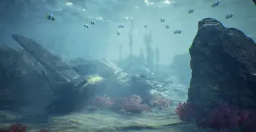 Ocean Floor Environment