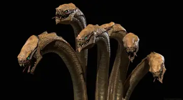 Hydra