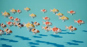 Koi. Japanese carp