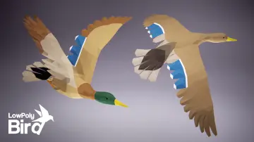 Low Poly Bird: Mallard Duck
