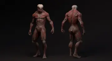 Skinless mutant