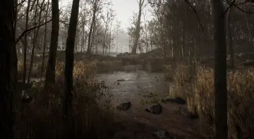 Procedural Forest