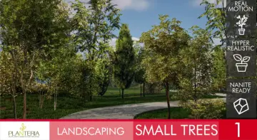 Landscaping Small Trees 1