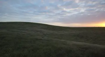 Grass Material - Premium