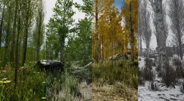 Scanned Poplar and Aspen Forest with Seasons