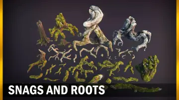Snags & Roots