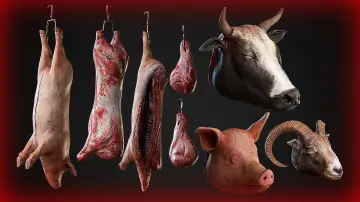 Carcasses