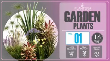 Landscaping Garden 1