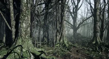 Dark Forest