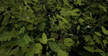 Ontario PBR Plant Pack