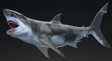 Dinosaur MEGALODON - Sea Monster Series 5