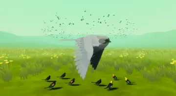 Beefy Blackbirds (Niagara Bird System)