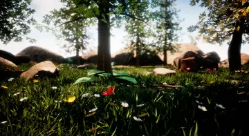 Forest pack. Easy landscape with plants and flowers
