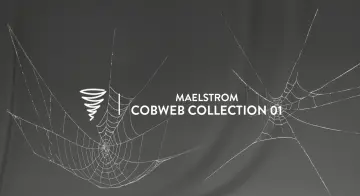 MAE Cobweb Collection 01