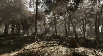 Pine forest - Photogrammetry based High poly Biome