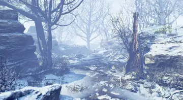 Winter Forest Set