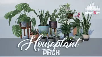 Houseplant Pack - Interior and Exterior Plants