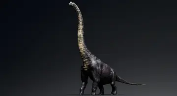 Dinosaur Brachiosaurus Sauropod
