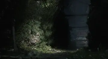ASIAN - Cave