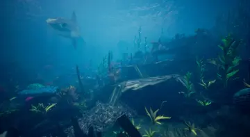 Ocean Environment Pack 2 - Coral Reef