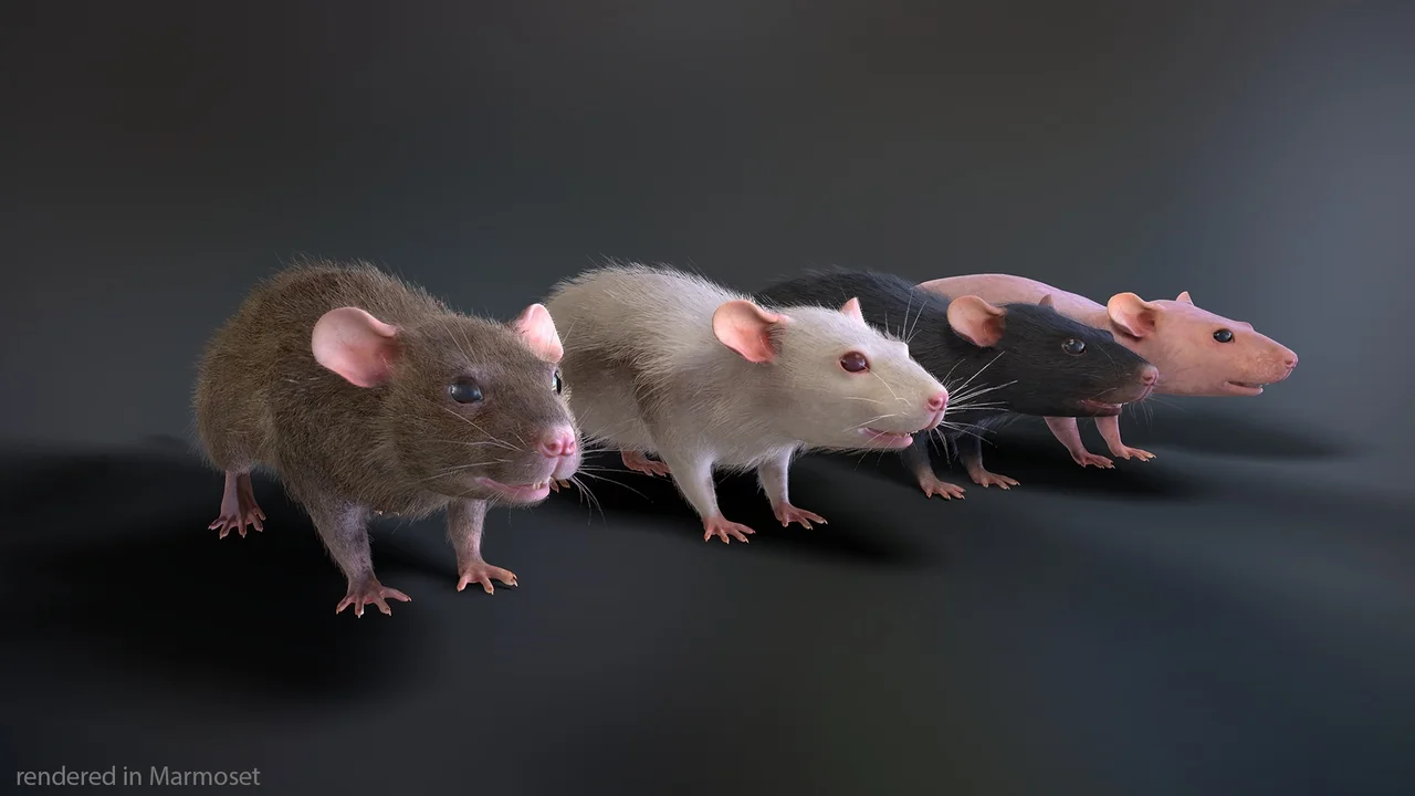 Mouse