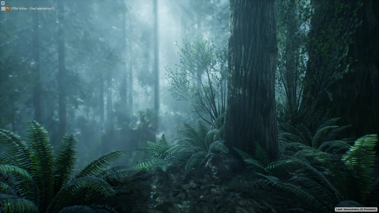 The Forest