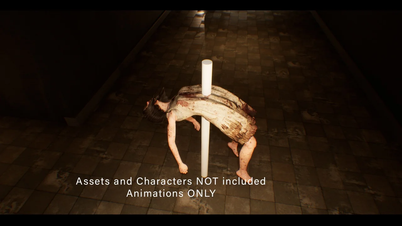 The Cultist Animations