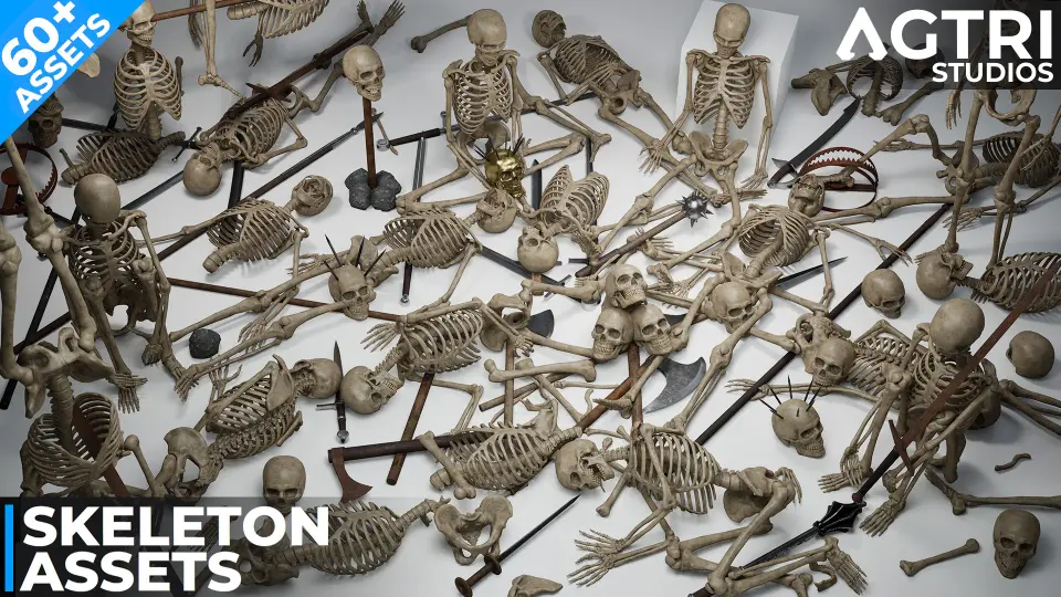 Skeleton Bones