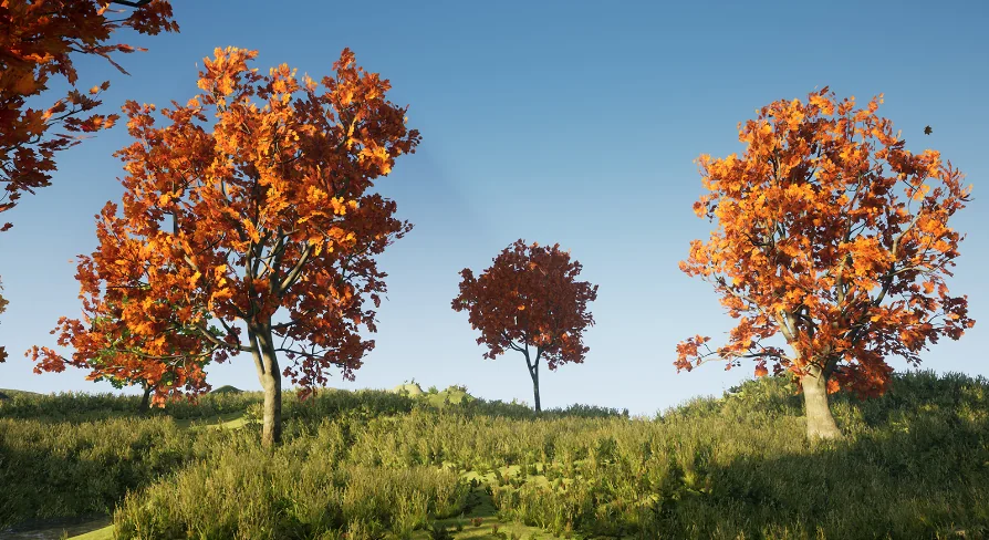 Tree Pack (Assorted Maple Trees)