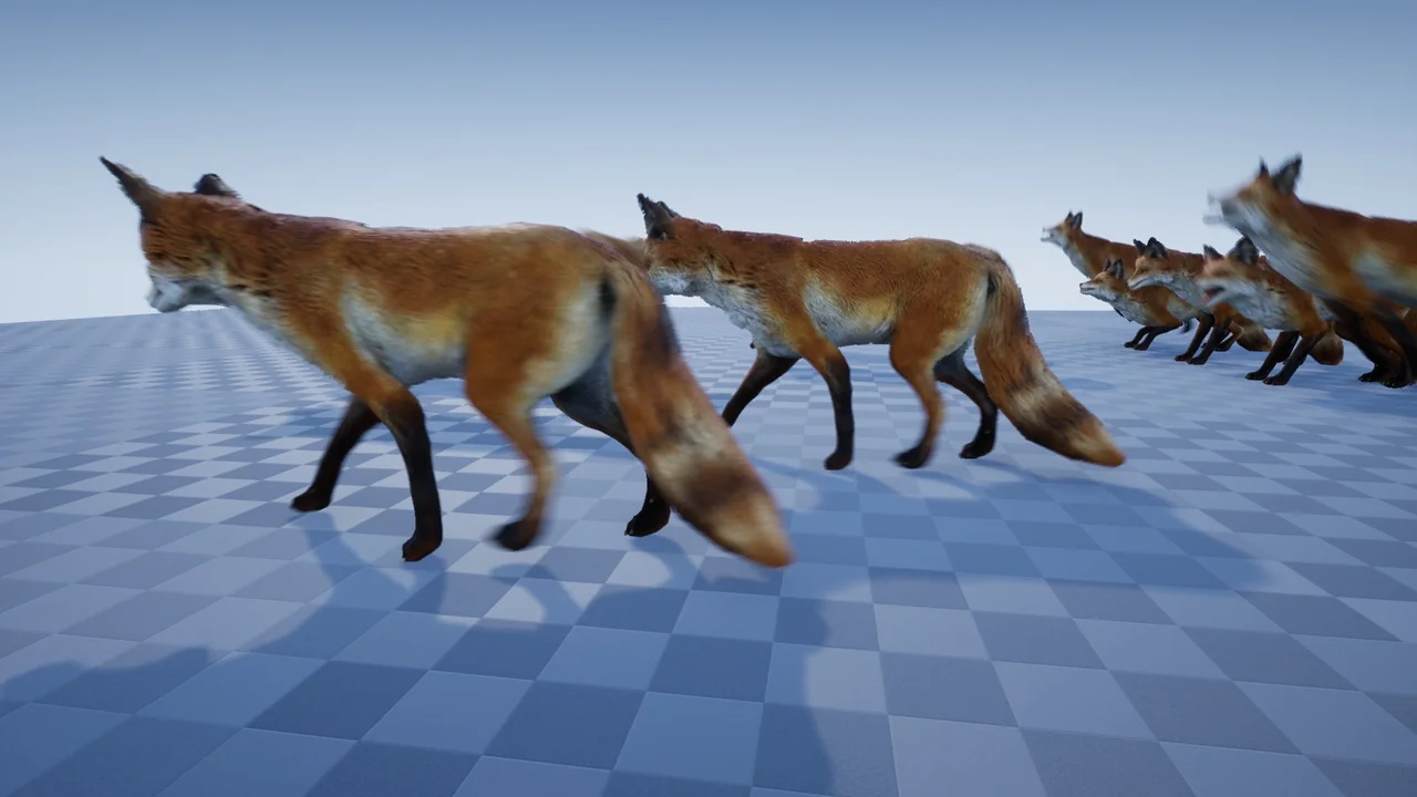 ANIMAL VARIETY PACK