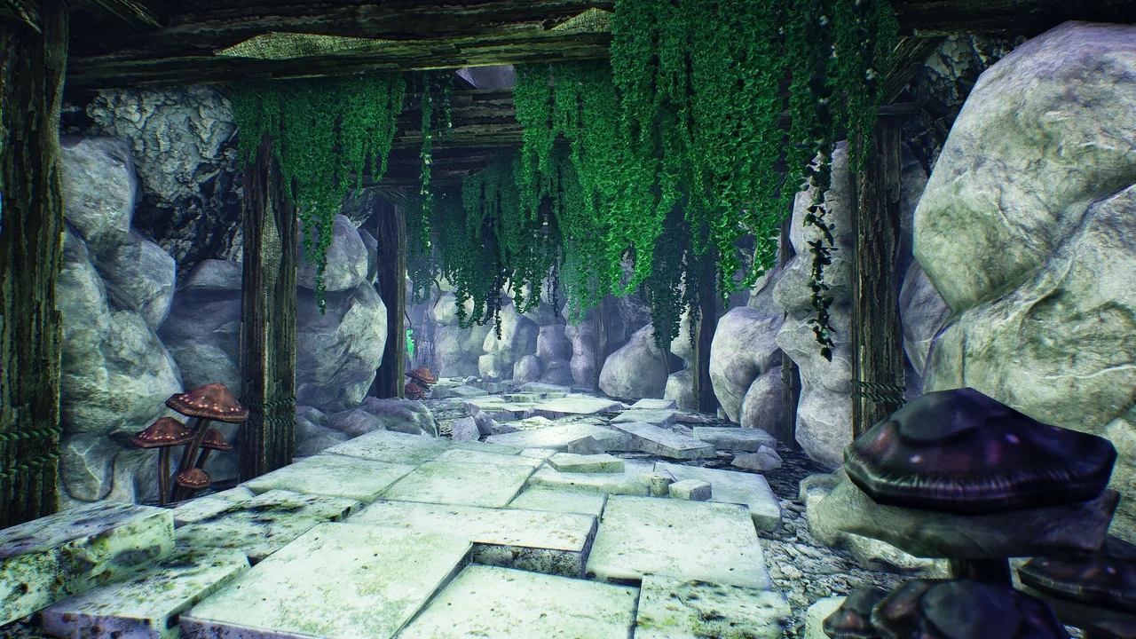 The Caves
