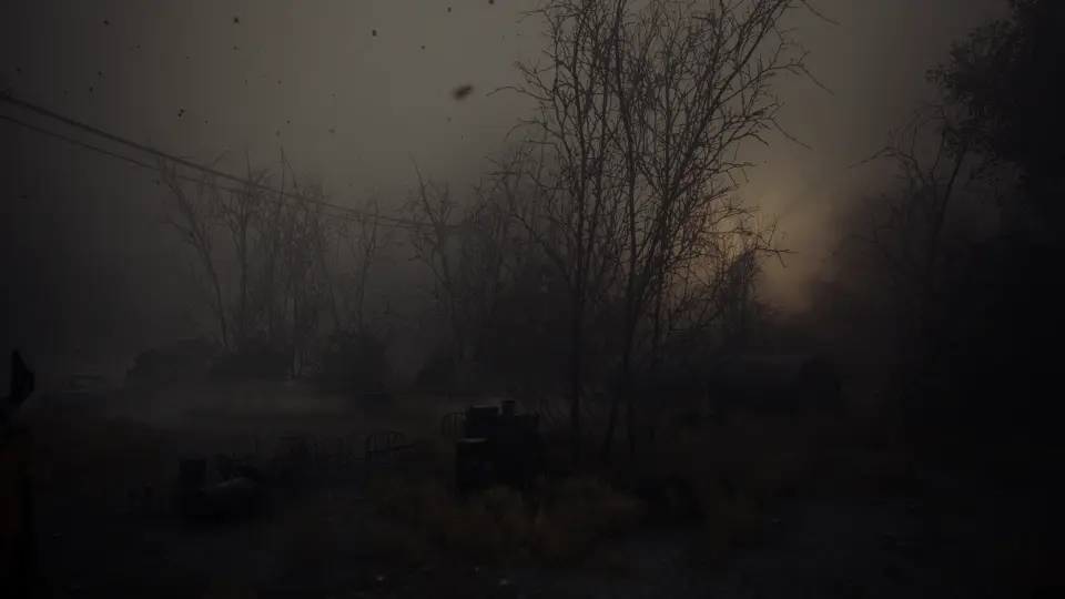 The Great Marsh