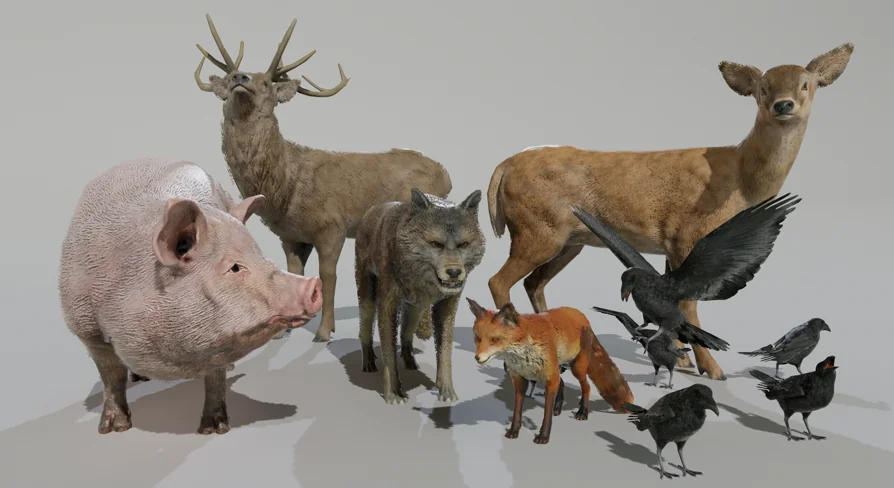 ANIMAL VARIETY PACK