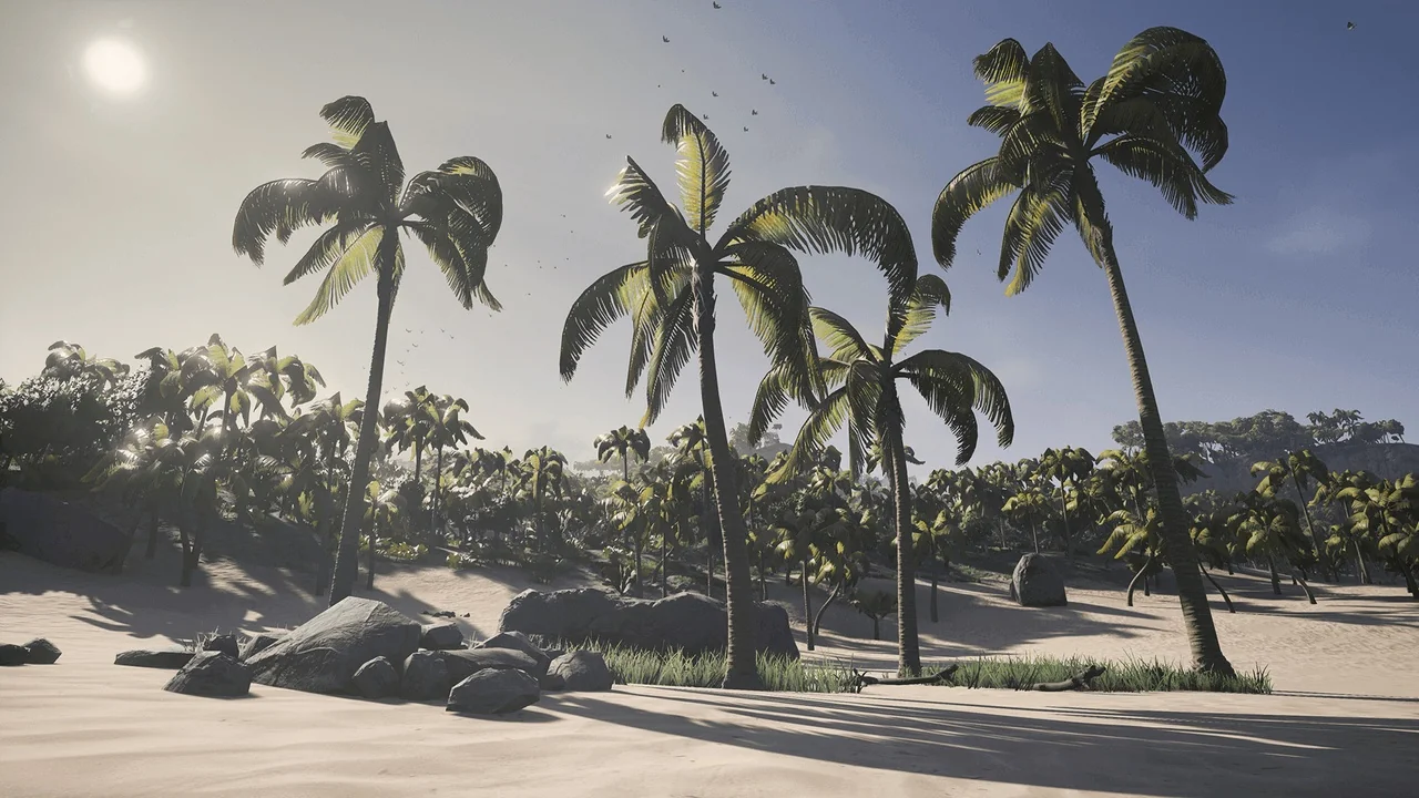 Tropical Island Environment