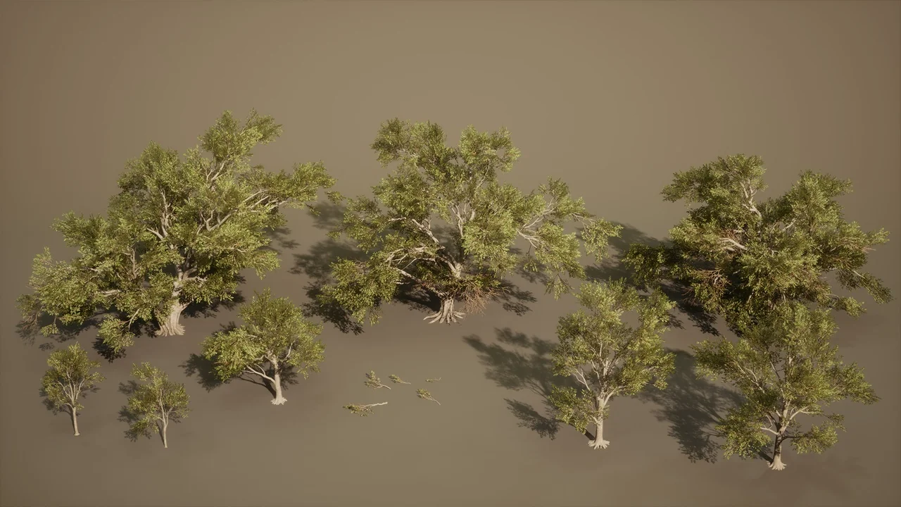 Foliage VOL.13 - Southern Oak Trees (Nanite and Low Poly)
