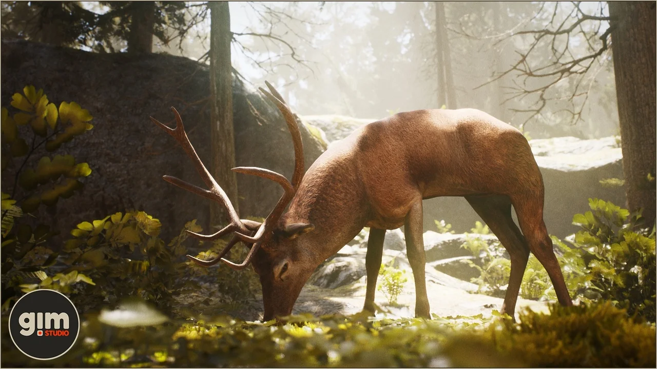 Animalia - Red Deer (male)