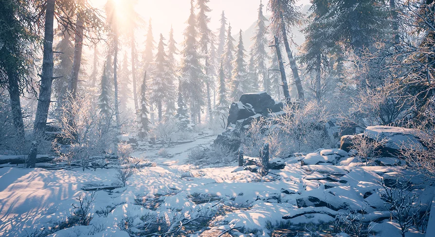 Winter Environment - Nature Pack