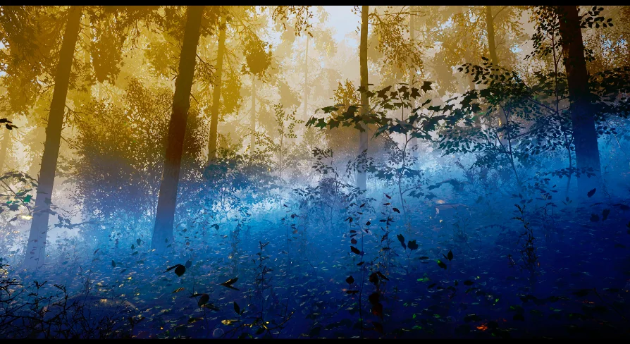 Ground Fog