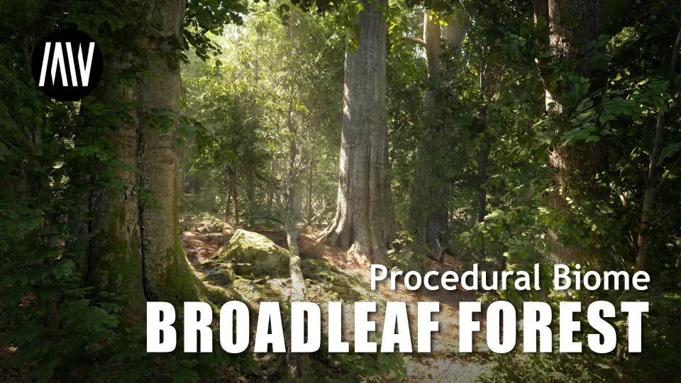 MW Broadleaf Forest Trees Biome